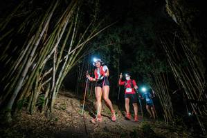 BIB: 
                            <button type="button" onclick="openModal(19394465)" class="btn btn-primary btn-sm float-right btn-popup" data-toggle="modal" data-target=".modal-high-quality">
                        <i class="fas fa-shopping-cart"></i> Add to Cart
                    </button>
                                            <button type="button" onclick="isThisMe(19394465, true)" class="btn btn-success btn-sm float-right btn-popup btn-isme hidden" data-toggle="tooltip" data-placement="bottom" title="นี่คือรูปของคุณใช่ไหม คลิกที่นี่เพื่อเอาเข้าอัลบั้ม">
                        <i class="fas fa-plus"></i> Add to album
                    </button>
                    <button type="button" onclick="isThisMe(19394465, false)" class="btn btn-warning btn-sm float-right btn-popup btn-isnotme hidden">
                        <i class="fas fa-ban"></i> Remove from album
                    </button>